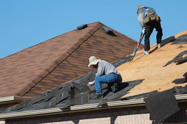 Best Skylights  in Woodville, MS