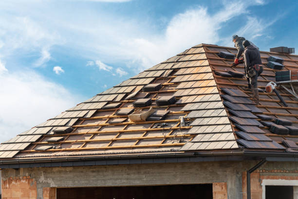 Best Skylight Installation and Repair  in Woodville, MS